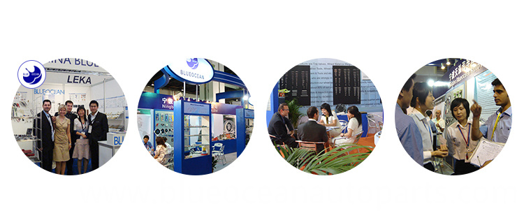 4 Exhibition.jpg
