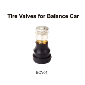 Tire Valves for Balance Car