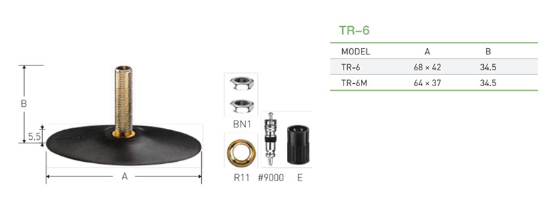 TR-6.jpg