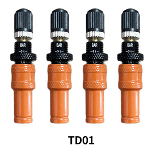 TD01